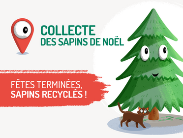 Collecte des sapins de Noël